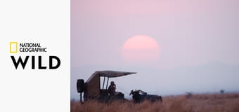 Катави - разрушенный рай в Африке S1E3