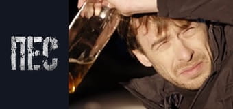 Пёс, Сезон 2, Серия 19