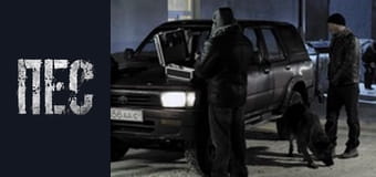 Пес, Сезон 1, Серія 17 Пес, Сезон 1, Серія 17