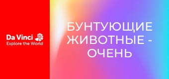 Бунтующие животные - Очень необычная стебельчатоглазая муха
