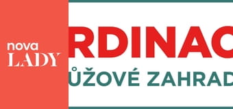 Ordinace v růžové zahradě 2 S17E14 - Velké rozhodnutí
