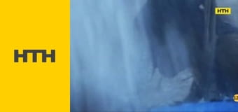 Т/с "Гаваї 5.0", 5 сезон, 23 і 24 с.