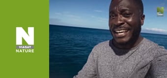 Еволюція - Захист