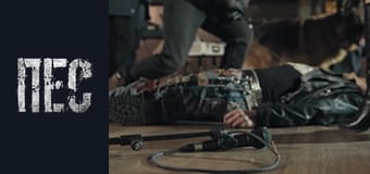 Пес, Сезон 6, Серія 19