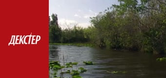 Декстер Сезон 4 Эпизод 7 Декстер Сезон 4 Эпизод 7