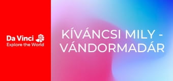 Kíváncsi Mily - Vándormadár Kíváncsi Mily - Vándormadár