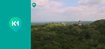 "Орел і Решка. Дайджест".