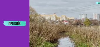 Петропавлівська Борщагівка: київська Швейцарія, "головна" Борщагівка, Електронмаш. Історія та факти.