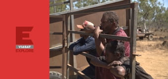 Австралійські ловці биків S2E1