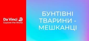 Animal Anarchists - The Inhabitants of Cheese