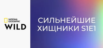 Сильнейшие хищники S1E1