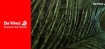 Бунтівні тварини - Дуже приваблива пастка для комах