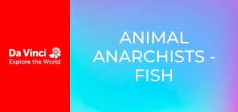 Animal Anarchists - Fish in Muddy Burrows
