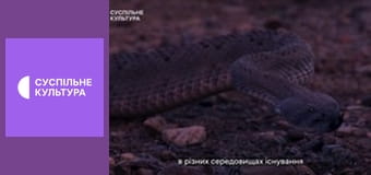 Д/с "Суперздібності тварин". "Нюх і смак".