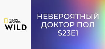Невероятный доктор Пол S23E1