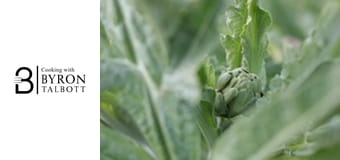 Growing and Cooking Artichokes