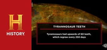 Звезды ломбарда, 24 сезон, 18 эп. Большая редкость.