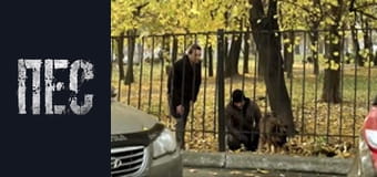 Dog, Season 3, Episode 20