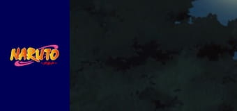 Naruto Season 1 Episode 161