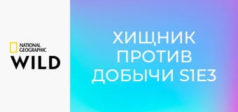 Хищник против добычи S1E3 - крокодил