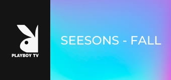 SeeSons - Fall