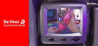 Лаборатория сказочных произведений - Легкие из шарика Лаборатория сказочных произведений - Легкие из шарика