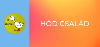 Hód család Hód család