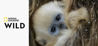 Дикая империя Китая S1E1