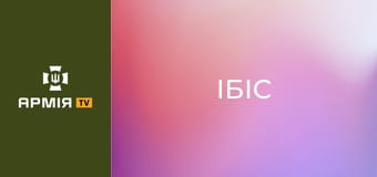 UAR-15: стійка, положення для стрільби, перекладка. Розповідає інструктор "Ібіс". Частина 3 || Хартія НГУ.