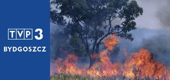 Eko na serio E7 - Jak gleba i natura wpływają na smak i jakość produktów? Eko na serio E7 - Jak gleba i natura wpływają na smak i jakość produktów?