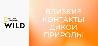 Близкие контакты дикой природы S1E6