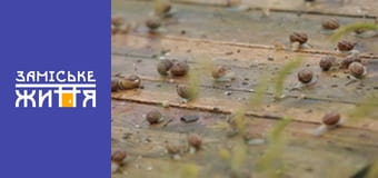 "Ферма" сезон 1 серия 7 "Ферма" сезон 1 серия 7