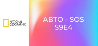 Авто - SOS S9E4 - VW Wizard