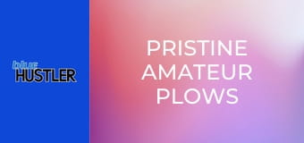 Pristine Amateur Plows