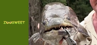 Рибальська експедиція в Амазонії Сезон 2 Епізод 3