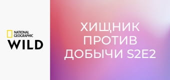 Хищник против добычи S2E2 - Леопард