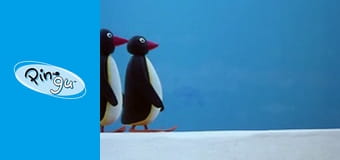 Pingu Sezon 2 Odcinek 16 Pingu Sezon 2 Odcinek 16