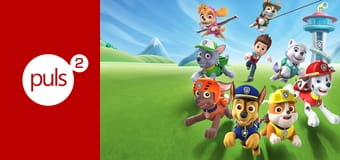 Psi patrol S10E1023 - Wielkie Koła: Pieski ratują Zatokę Przygód