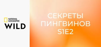 Секреты пингвинов S1E2