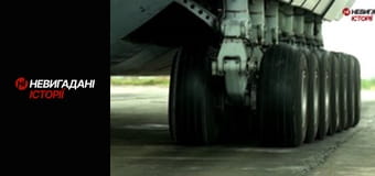 Невигадані історії. Мрія і Богатирі.