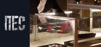 Пёс, Сезон 2, Серия 21