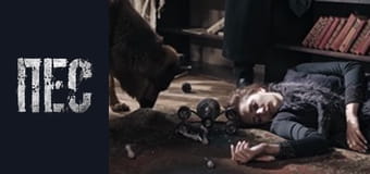 Dog, Season 6, Episode 39