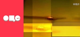 Т/с "CSI: Місце злочину - Маямі", 6 сезон, 7 с.