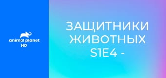 Защитники животных S1E4 - Спасительный дрон