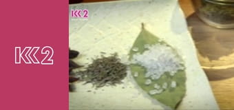 Розумниця E2