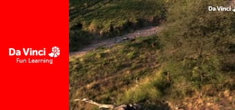 Сияя - Отправьтесь с нами - Тшавхадзиму