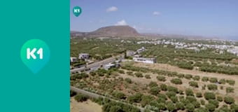 "Хижі до їжі" з Андрієм Бєдняковим.