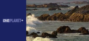 Залізничні Історіі - cерия 7