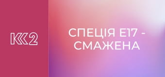 Спеція E17 - Смажена капуста