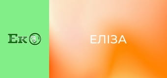 Т/с "Еліза".